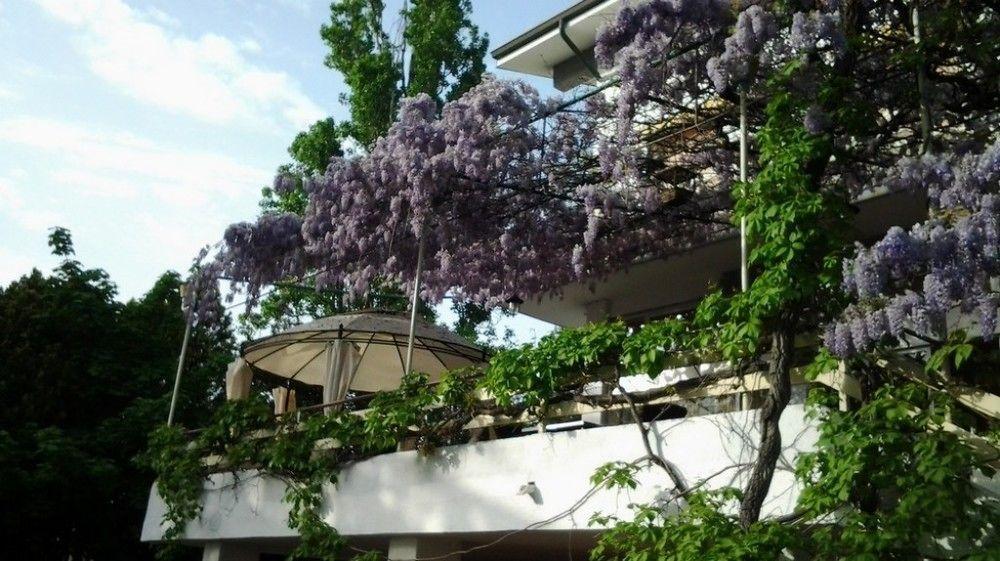 Hotel Ristorante Sole Múggia Exterior foto